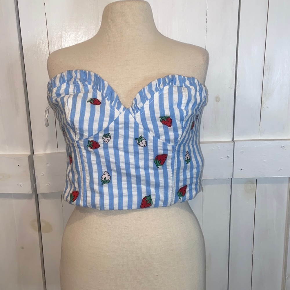 NWT Maeve Anthropologie Striped Strawberry Printed Crop Tank